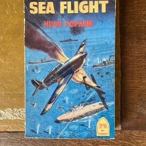 Sea Flight by Hugh Popham