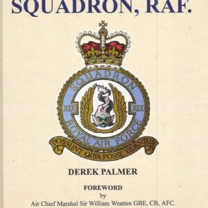 19 (Fighter) Squadron RAF by Derek Palmer