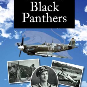 Birth of the Black Panthers by William S Smith