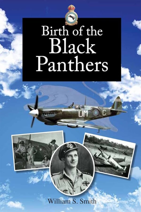 Birth of the Black Panthers by William S Smith