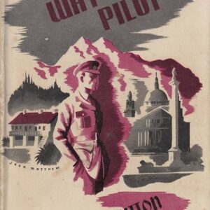 The Way of a Pilot by Barry Sutton