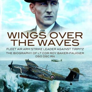 Wings over the Waves by Graham Roy Drucker